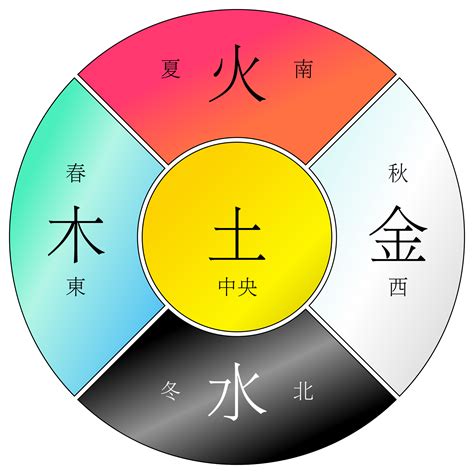 五行对应的器官|人身五行